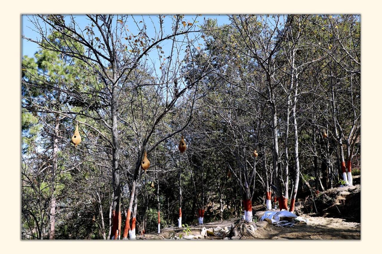Готель The Ranikhet Continental Екстер'єр фото