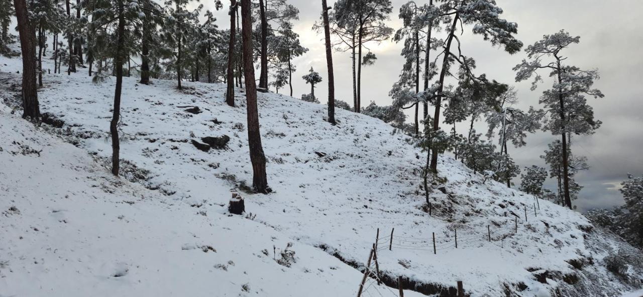 Готель The Ranikhet Continental Екстер'єр фото