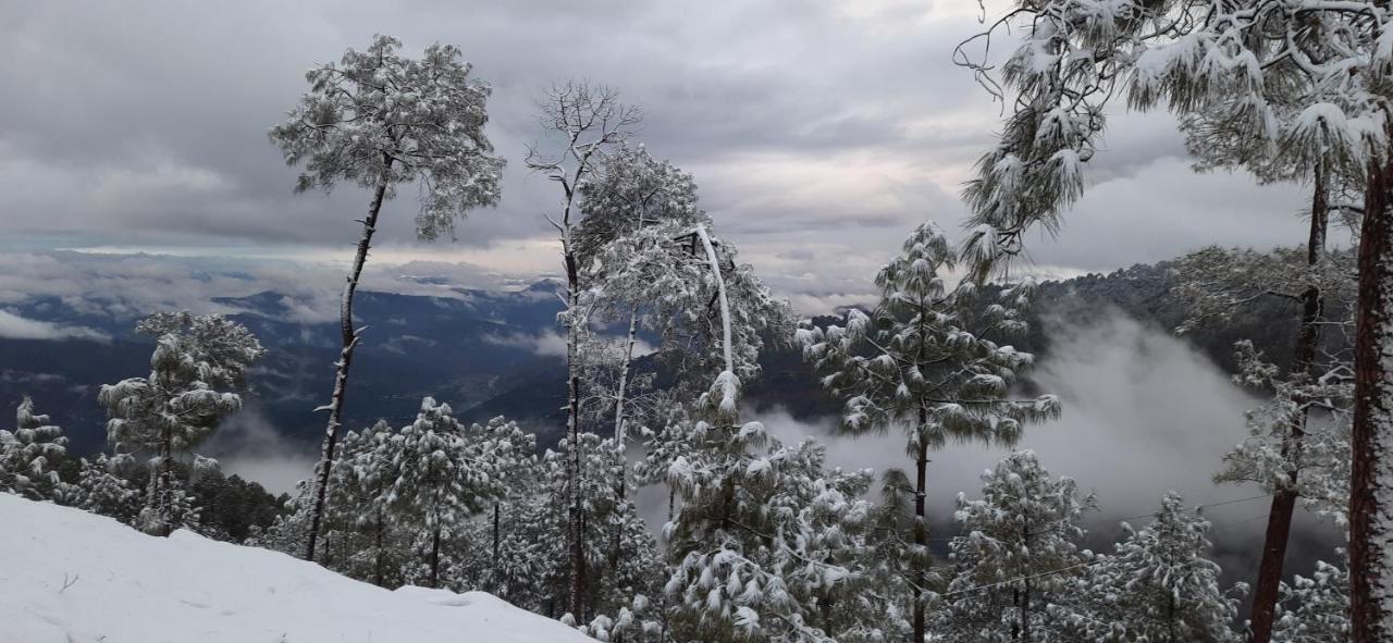 Готель The Ranikhet Continental Екстер'єр фото