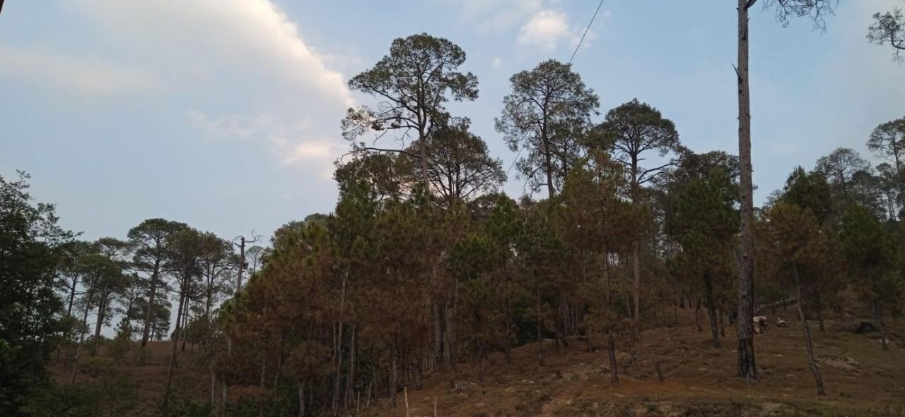 Готель The Ranikhet Continental Екстер'єр фото